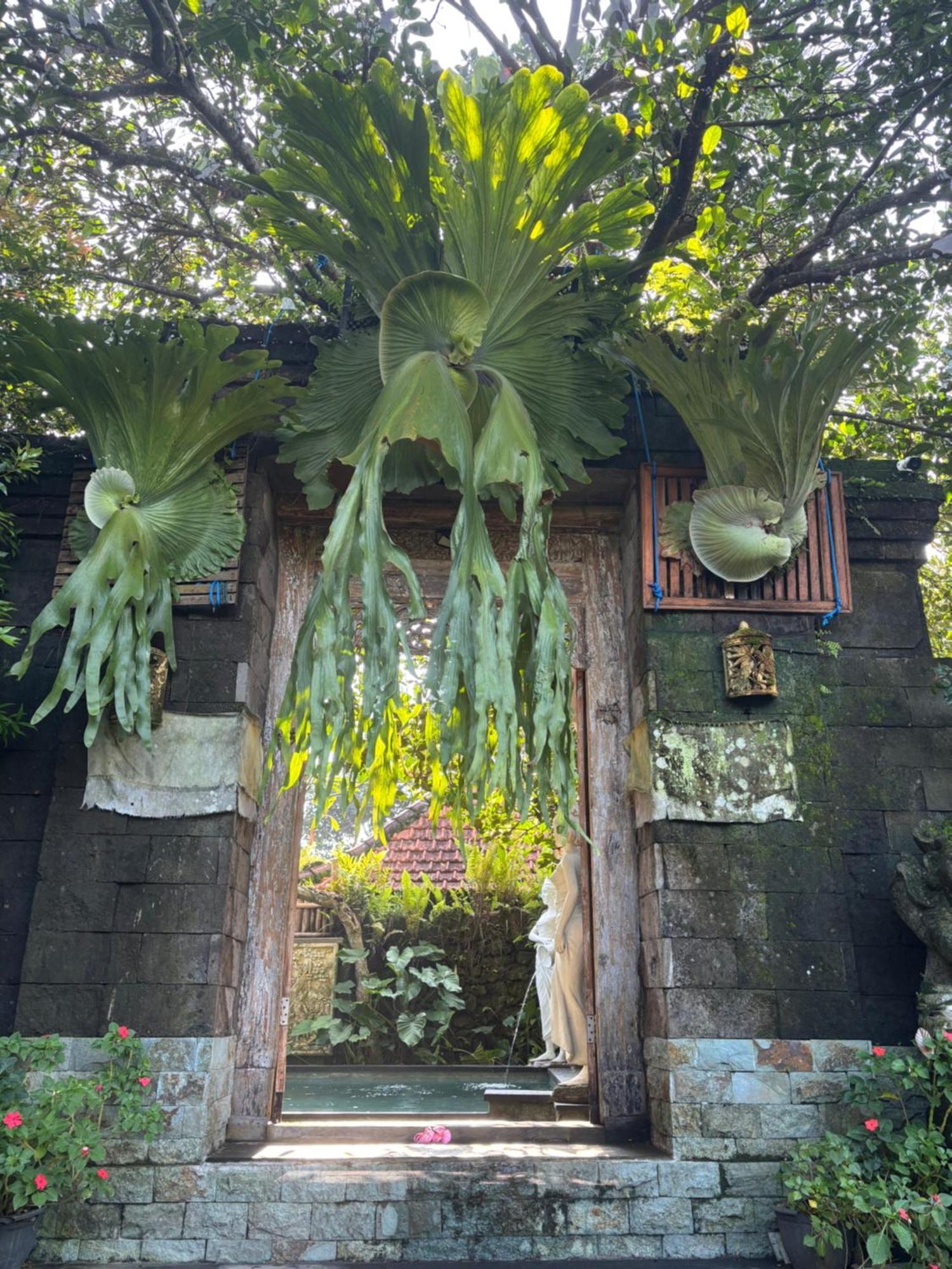 Bumbung Sari Villa Ουμπούντ Εξωτερικό φωτογραφία